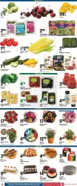 Big Y flyer week 25 Page 9