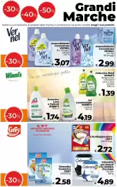 Volantino Ipercoop Radenza Pagina 10