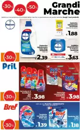 Volantino Ipercoop Radenza Pagina 11