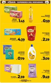 Volantino Ipercoop Radenza Pagina 15