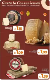 Volantino Ipercoop Radenza Pagina 17