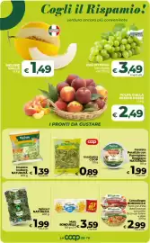 Volantino Ipercoop Radenza Pagina 27