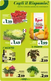 Volantino Ipercoop Radenza Pagina 28