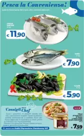 Volantino Ipercoop Radenza Pagina 29