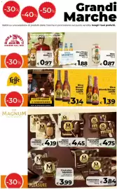 Volantino Ipercoop Radenza Pagina 3