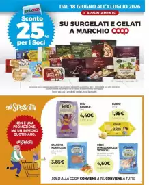 Volantino Ipercoop Pagina 25