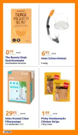 Action Flugblatt woche 25 Seite 21