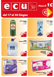 Volantino Ecu Discount Pagina 13