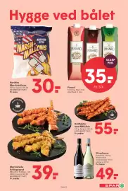 SPAR tilbudsavis uge 25 Side 13