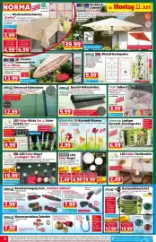 Norma DE folder week 26 Pagina 2