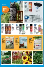Canac flyer week 25 Page 13