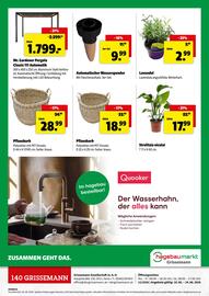 Eurogast Grissemann Flugblatt woche 25 Seite 12
