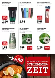 Eurogast Grissemann Flugblatt woche 25 Seite 6
