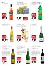 Eurogast Grissemann Flugblatt woche 25 Seite 8