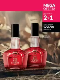 Catálogo Avon Página 94