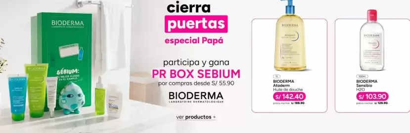 Catálogo Ripley Página 11