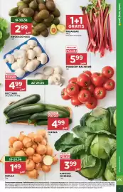 Stokrotka gazetka tydzień 25 Strona 11