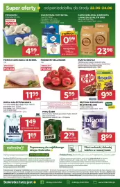 Stokrotka gazetka tydzień 25 Strona 48