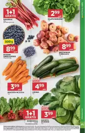 Stokrotka Market gazetka tydzień 25 Strona 13