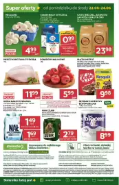 Stokrotka Market gazetka tydzień 25 Strona 35