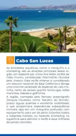 Catálogo Abreu Página 6