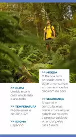 Catálogo Abreu Página 19