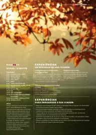 Catálogo Abreu Página 123