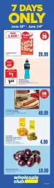 Wholesale Club flyer Page 5