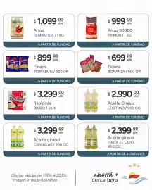 Catálogo El Milagro Mayorista semana 25 Página 10