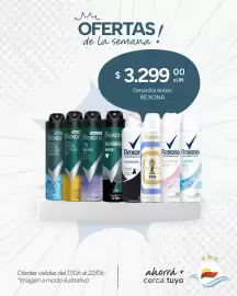 Catálogo El Milagro Mayorista semana 25 Página 18
