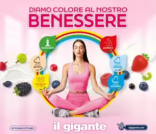 Volantino Il Gigante Pagina 1