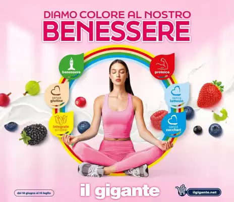 Volantino Il Gigante (valido fino al 15-07)