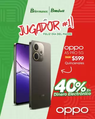 Catálogo B Hermanos