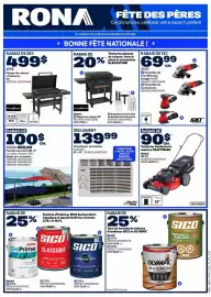 RONA flyer Page 2