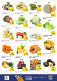 Nesto catalogue Page 2