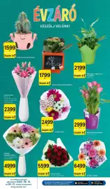 Tesco akciós újság hét 25 Oldal 10