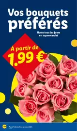 Catalogue Lidl semaine 26 page 28