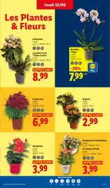 Catalogue Lidl semaine 26 page 29
