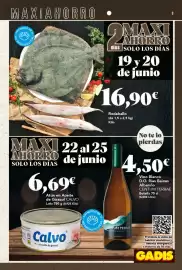 Folleto Gadis semana 25 Página 3