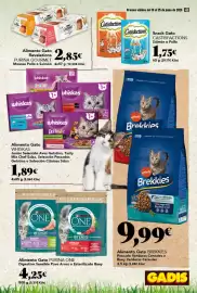 Folleto Gadis semana 25 Página 41