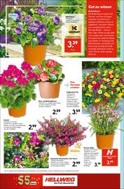 Hellweg Prospekt woche 25 Seite 18