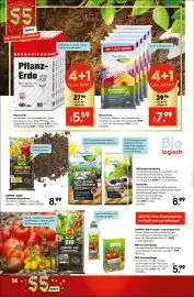 Hellweg Prospekt woche 25 Seite 16