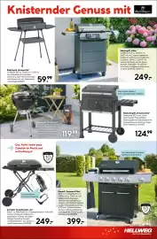 Hellweg Prospekt woche 25 Seite 3