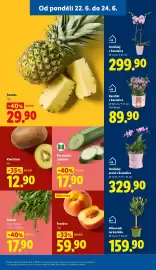 Lidl leták Strana 13