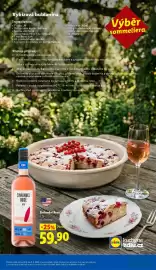 Lidl leták Strana 51