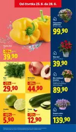Lidl leták Strana 13