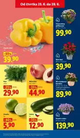 Lidl leták Strana 13