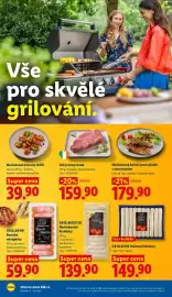 Lidl leták Strana 22