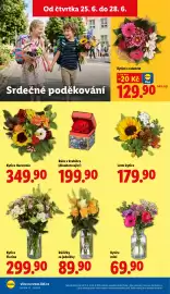 Lidl leták Strana 26