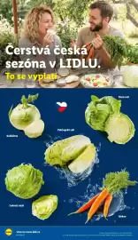 Lidl leták Strana 57
